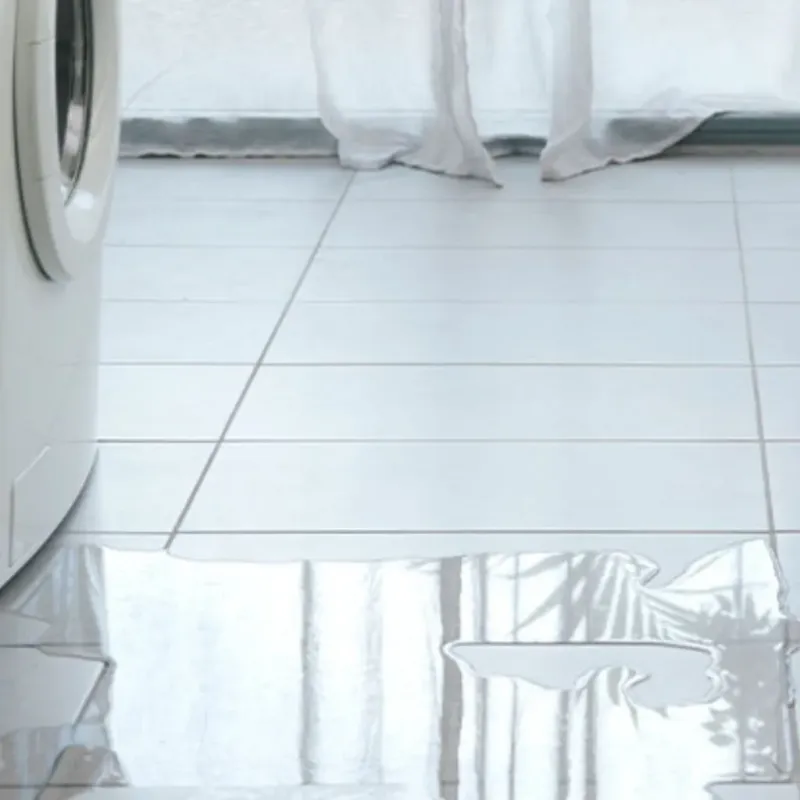 Appliance Leak Cleanup in Sebewaing, MI