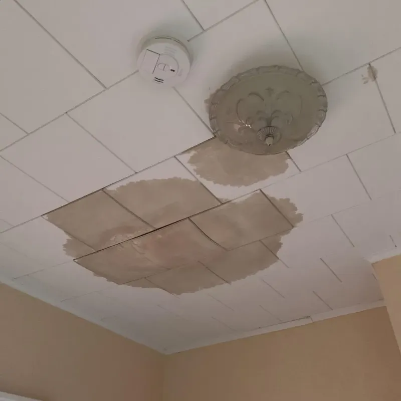 Ceiling Water Damage Repair in Sebewaing, MI