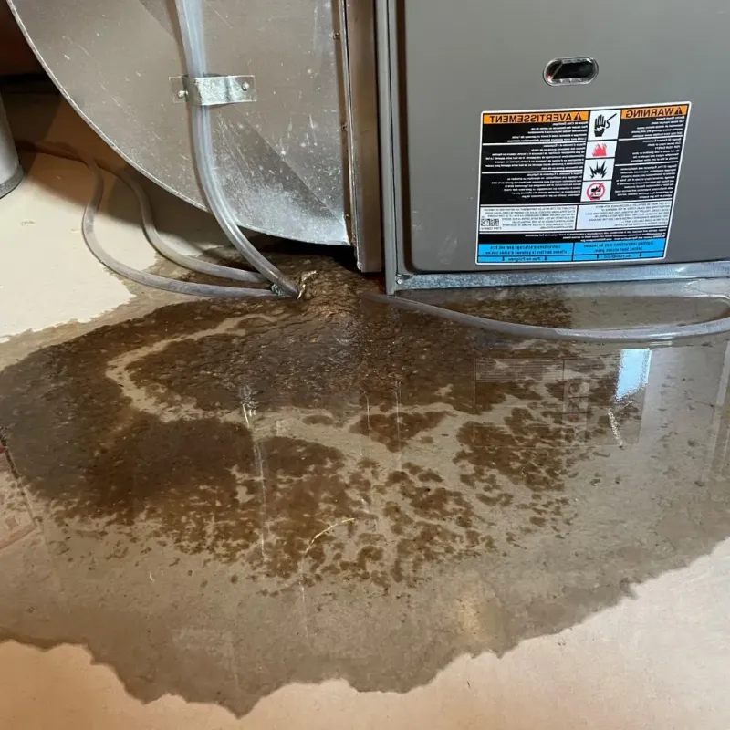 Pipe Burst and Leak Restoration in Sebewaing, MI