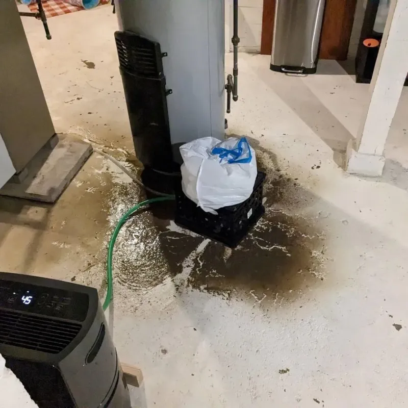 Sewage Backup Cleanup Service in Sebewaing, MI